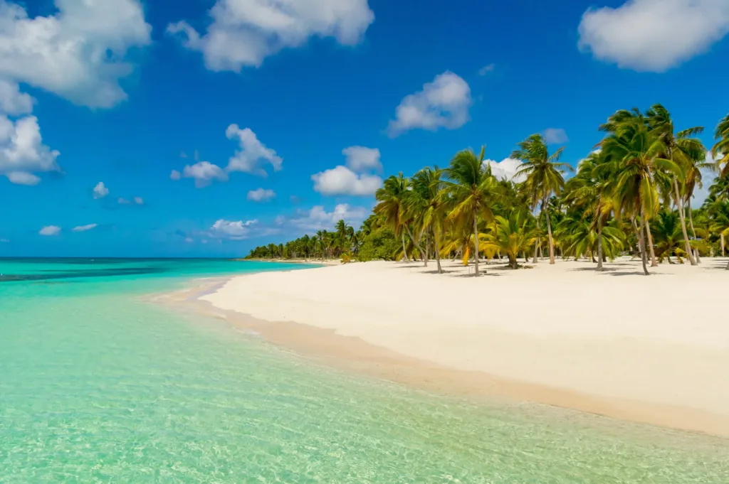 Caribbean
