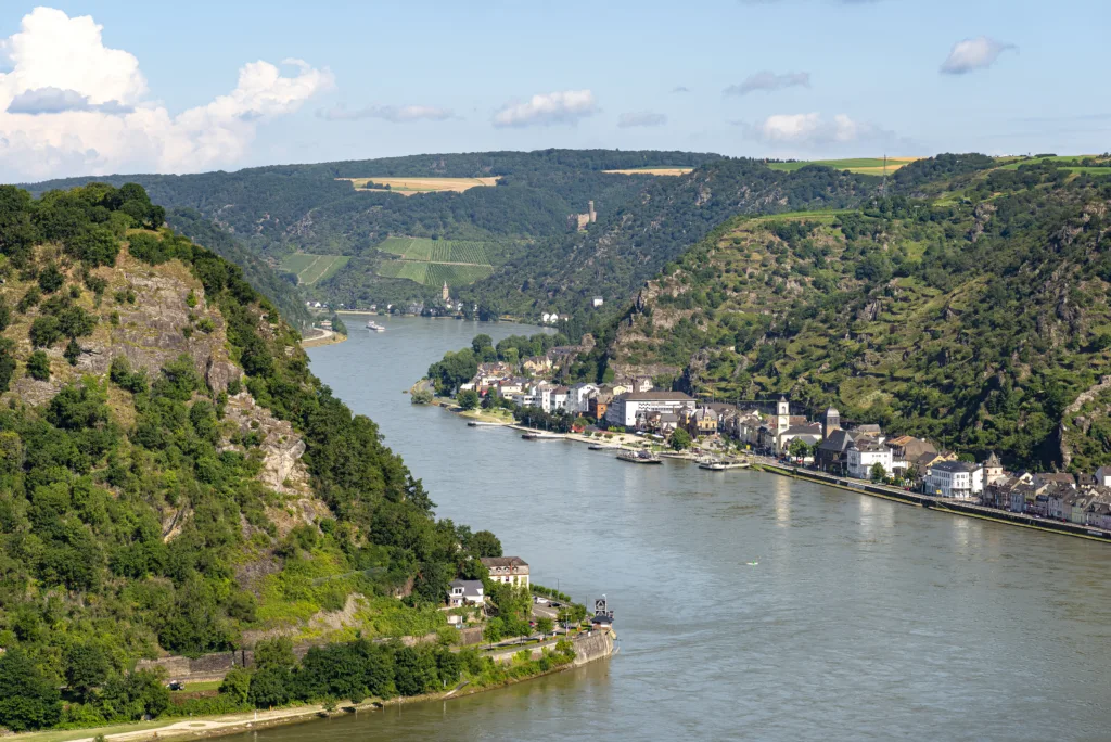 Rhine